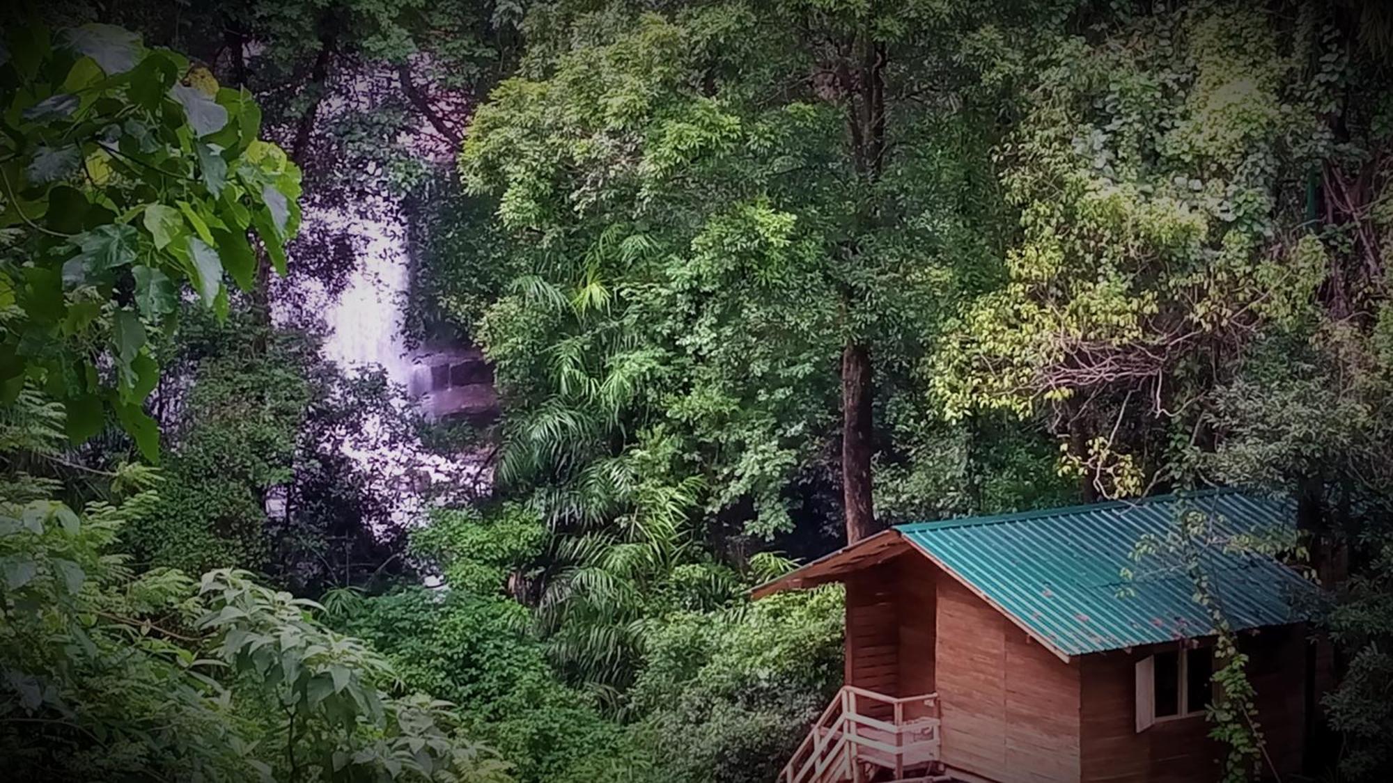 Chalet In The Jungle Pallegama Exterior photo
