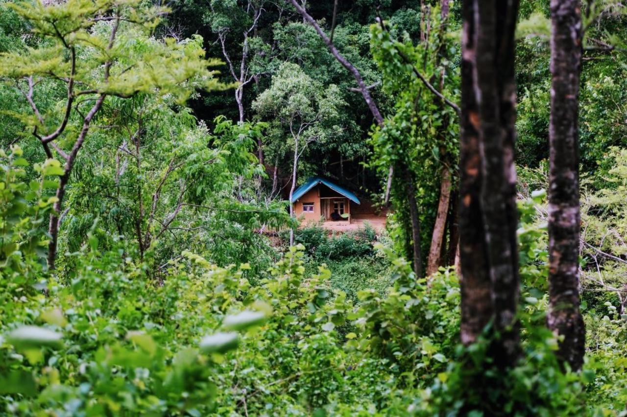 Chalet In The Jungle Pallegama Exterior photo